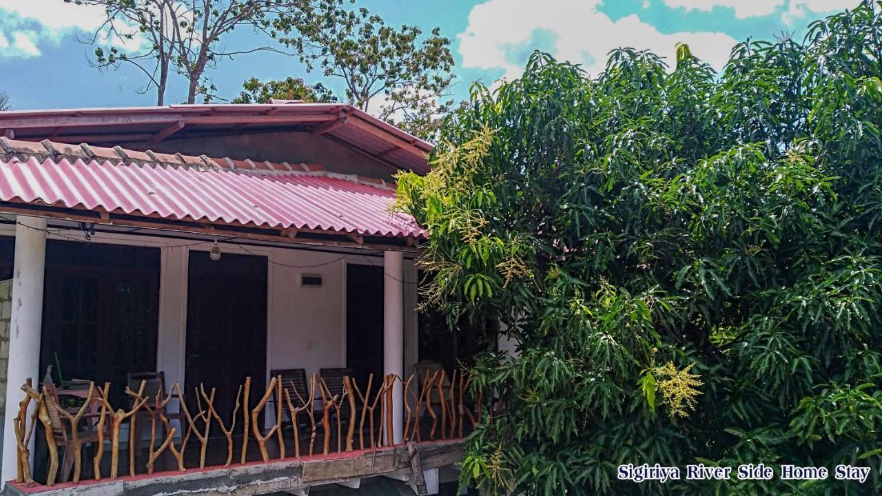 The Sigiri Roar Apartment Sigiriya Ngoại thất bức ảnh