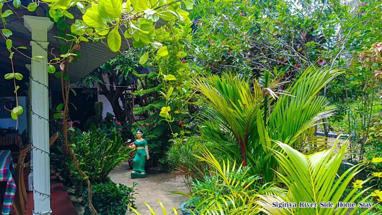 The Sigiri Roar Apartment Sigiriya Ngoại thất bức ảnh