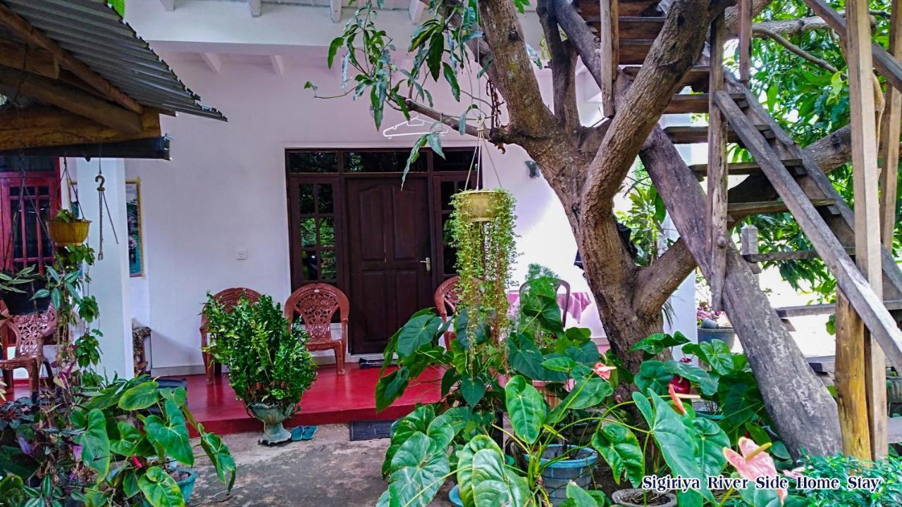 The Sigiri Roar Apartment Sigiriya Ngoại thất bức ảnh